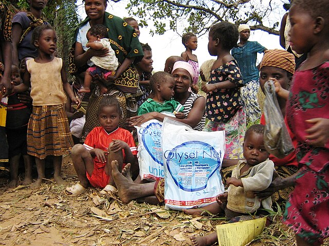 Community members in Cabo Delgado after a mass distribution of long-lasting insecticidal nets (LLINs).